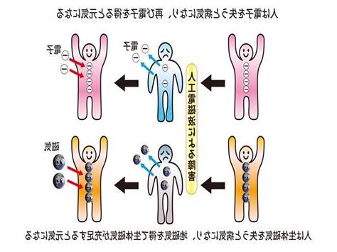 磁場 人間 影響